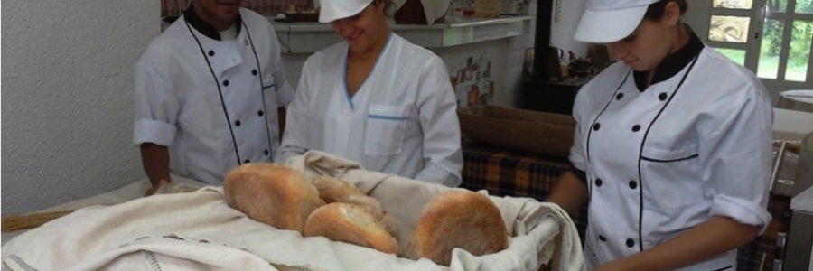 Training and employing vulnerable youth